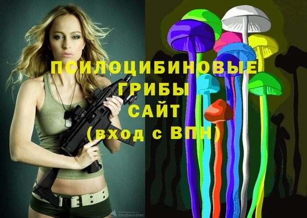 дживик Верея
